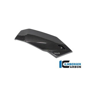 Co[K[ Ilmberger x[p E J[{ObV[  BMW S1000R 21-25 CG.MSR.010.S121N-S1000R HDX