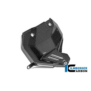 Co[K[ Ilmberger V_[wbhJo[  J[{ObV[ B Panigare V4/S 25 CG.ZAL.025.V4P24-SfV4S HDX