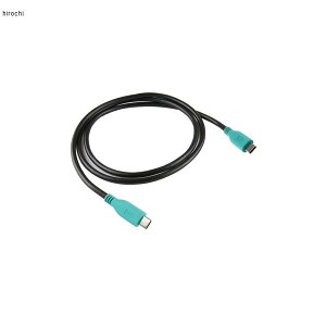 �����}�E���g RAM Mounts GDS����USB TypeC�P�[�u�� TypeC�I�X-TypeC�I�X 1m RAM-GDS-CAB-USBC-CMCM-20-10 HD�X