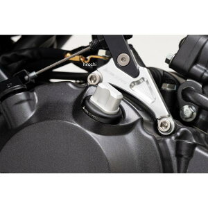 �o�C�J�[�Y BIKERS �I�C���t�B���[�L���b�v �}�b�g�V���o�[ 18�N-24�N �z���_ CB1000R D0043-SLV HD�X