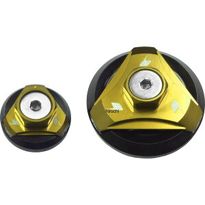�o�C�J�[�Y BIKERS �G���W���v���O 2�� ���C�g�S�[���h 16�N-22�N �J���T�L Z125 PRO K0145-LGD HD�X