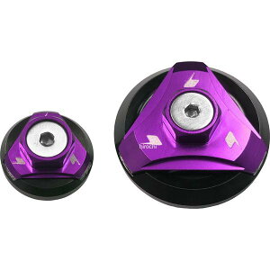 �o�C�J�[�Y BIKERS �G���W���v���O 2�� �p�[�v�� 16�N-22�N �J���T�L Z125 PRO K0145-PUR HD�X