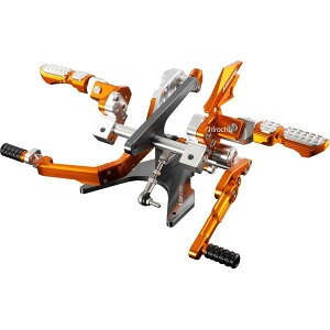 �o�C�J�[�Y BIKERS �o�b�N�X�e�b�v �I�����W�S�[���h 14�N �J���T�L KSR PRO K0147-OGD HD�X