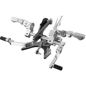 �o�C�J�[�Y BIKERS �o�b�N�X�e�b�v �V���o�[ 14�N �J���T�L KSR PRO K0147-SLV HD�X