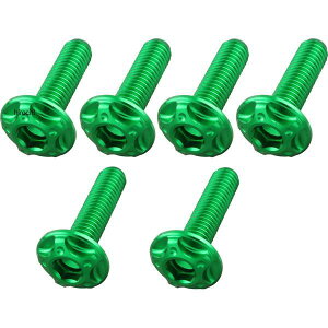 �|�b�V�� POSH �r���b�g�X�N���[���{���g�Z�b�g M5x18mm4�{/M5x20mm2�{ 09�N-16�N �J���T�L ZRX1200 DAEG ���C���O���[�� 507035-28 HD�X