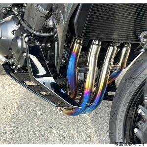 �r�[�g BEET N-EvoGTT2 �t���G�L 26�N�ȍ~ �J���T�L Z1100/SE �p�[�v���S�[���h ���{�F�ؓK���i 0260-KJ2-PG HD�X