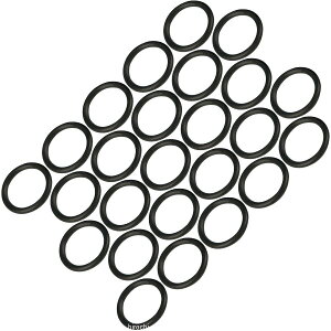 �yUSA�݌ɂ���z �W�F�[���Y JAMES �g�����X�~�b�V���� �t�B���[ �v���O O�����O 87�N-92�N BigTwin (25����) DS-174379 HD�X