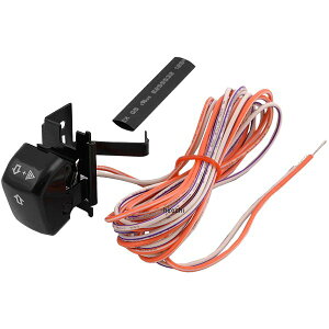 yUSA݌ɂz DRAG ECJ[XCb` 96N-13N  2106-0085 HDX