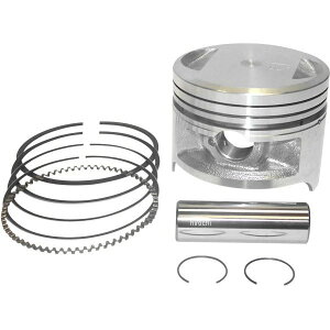 �yUSA�݌ɂ���z WSM �s�X�g���L�b�g 0.5mm �I�[�o�[�T�C�Y 98�N-02�N �J���T�L KLF220 Bayou 0910-3500 HD�X