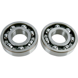 yUSA݌ɂz zbgbh HOT RODS NNVtg xAO V[ 04N-08N A[NeBbNLbg 400 2x4 0924-0120 HDX