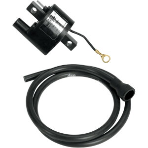 �yUSA�݌ɂ���z Rick's Motorsport Electrics �C�O�j�b�V�����R�C�� HOT SHOT 93�N �|�����X 2x4 250 1���� 2102-0013 HD�X
