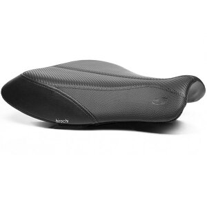 yUSA݌ɂz Th Saddlemen V[g GP-V1 ZX6/10 X^_[h 0810-1882 HDX