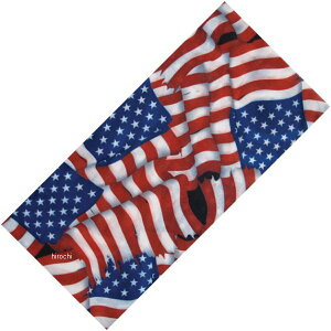 yUSA݌ɂz Vp Schampa `[u AJtbO 2502-0099 HDX