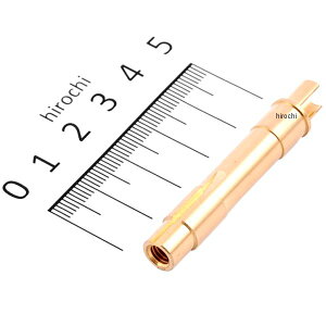 yUSA݌ɂz ~Nj j[h WFbg ^Cv247 (1) 247-P-6 HDX