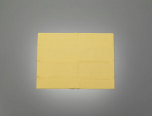 y[J[݌ɂz GXR ESCO 510x640mm Z[vNX 000012249700 HDX