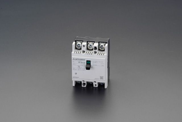 人気商品の テンパール工業 403EA30W2S 漏電遮断器 経済タイプ E