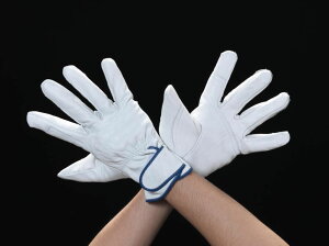 y[J[݌ɂz GXR ESCO L v(v/u[) 000012072209 HD