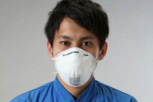 y[J[݌ɂz [DS1] }XN(hop/22) 000012295852 HDX