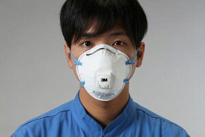 y[J[݌ɂz [DS2] }XN(hop/rCٕt/10 000012295861 HDX