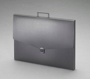 y[J[݌ɂz A3/340x440mm fUCP[X EA762CF-252 HDX