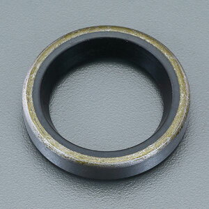 【メーカー在庫あり】 エスコ ESCO 40x58x 6mm オイルシール(GM/ニトリル) EA423TF-40D HD店