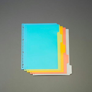 y[J[݌ɂz GXR ESCO A4 J[CfbNX(PPV[g/5F) EA762CS-21 HDX