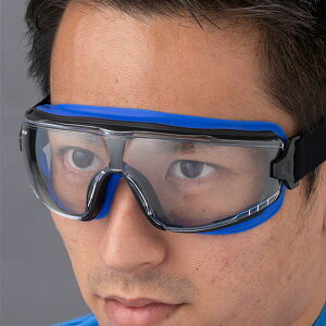 y[J[݌ɂz GXR ESCO S[O(NA[/̓A`tHO) EA800EA-31 HDX