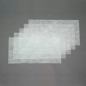 y[J[݌ɂz GXR ESCO 400x700mm X|bgN[[ptB^[(RہEhL/5) EA897AZ-22 HDX