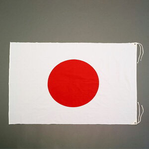 y[J[݌ɂz GXR ESCO 1500x1030mm (6A) EA983JP-53 HDX