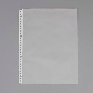 y[J[݌ɂz GXR ESCO A4 NA[|Pbg(䎆Ȃ/10) 000012336138 HDX