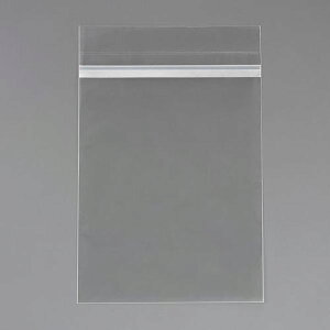 y[J[݌ɂz GXR ESCO 303x220mm NA[z_[iNA^20j EA762CB-621 HDX