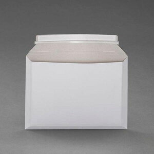 y[J[݌ɂz GXR ESCO 340x250mm^A4 z^[i25j EA927SC-11A HDX