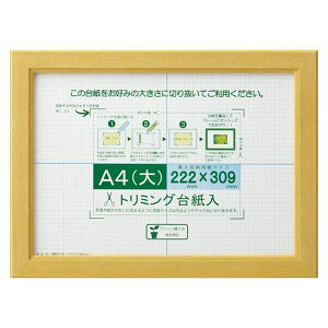 y[J[݌ɂz GXR ESCO 422x316mm/B4 ܏z (ؖ) EA761LH-22A HDX