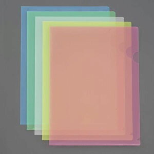 y[J[݌ɂz GXR ESCO A4/310x220mm NAz_[ (5F/10) EA762CB-305 HDX