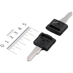 y[J[݌ɂz SP sXguNL[ E݂^Cv 2{1Zbg L[ S Ape50 Ape100 08-01-0084 HDX