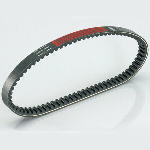 y[J[݌ɂz L^R Pu[xg(3) DIO-ZX 465-1038300 HDX