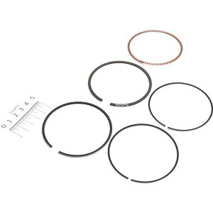 y[J[݌ɂz VtgAbv 0.25 I[o[TCY sXgO JTL W1/W1S/W1ESA/W3 p 800650-RN HDX