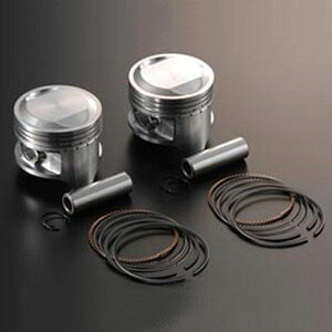 y[J[݌ɂz VtgAbv 0.5 I[o[TCY sXgP JTL W1/W1S/W1ESA/W3 p 800651-PN HDX