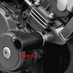 y[J[݌ɂz fCgi GW veN^[ HORNET250 79923 HDX