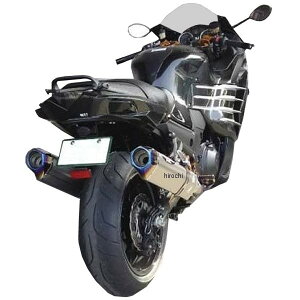 r[g BEET XbvI}t[ iT[gG{[V TYPE2 12N-17N jW ZX-14R ABS NA`^ 0222-KD3-50 HDX