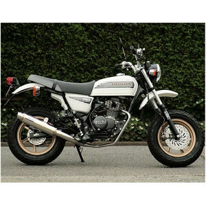 アールピーエム RPM フルエキゾースト 80D-RAPTOR 08年 エイプ100タイプD ステンレス 6036D HD店