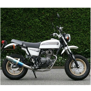 アールピーエム RPM フルエキゾースト 80D-RAPTOR 08年 エイプ100タイプD ブルーチタン 6036Z HD店