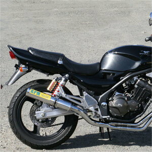 y[J[݌ɂz A[s[G RPM tGL][Xg 4in2in1 SN oIX2 BA-ZR250B A~ 1075-01 HDX