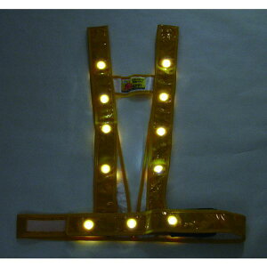 y[J[݌ɂz ()~YPC ~YPC LED^XL^SxXgułv(S[h/LED) 3020002 HDX