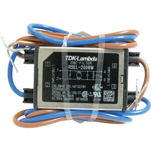 �y���[�J�[�݌ɂ���z RSEL2006W TDK�����_(��) TDK�����_ �m�C�Y�t�B���^ RSEL�V���[�Y ���C���^�C�v 250V 6A RSEL-2006W HD�X