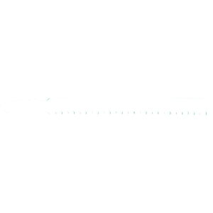 �y���[�J�[�݌ɂ���z �_���H��(��) �V���g�[ �W�O�\�[�u���[�hB�[5BF(5�{) BFC5108 HD�X