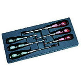 【メーカー在庫あり】 京都機械工具(株) ネプロス 木柄ドライバセット［6本組］ NTD306 HD店