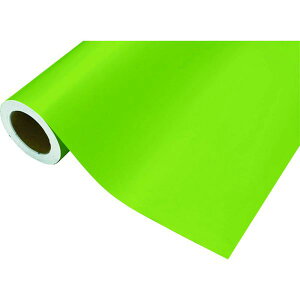 y[J[݌ɂz ()P~J P~J JbeBOV[g 411CG[O[ 450mm×2M CS04541102 HDX