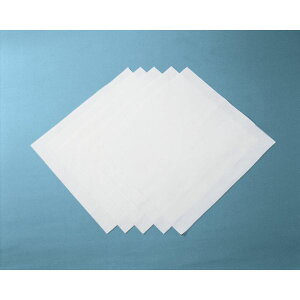 y[J[݌ɂz HOC5052 (){NX { ICV[g [{|GXe 525mm×500mm(120) HOC-5052 HDX