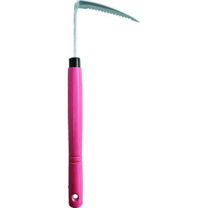 y[J[݌ɂz ()hEJ hEJ 鎟Y RR sN p DK695L HDX